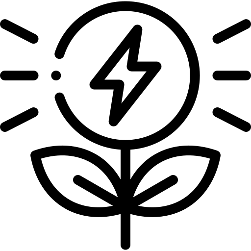 RE Section